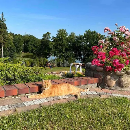 Zdunlandia Dom Nad Jeziorem, Jacuzzi, Kort, Basen Holiday home Zduny (Lowicz)